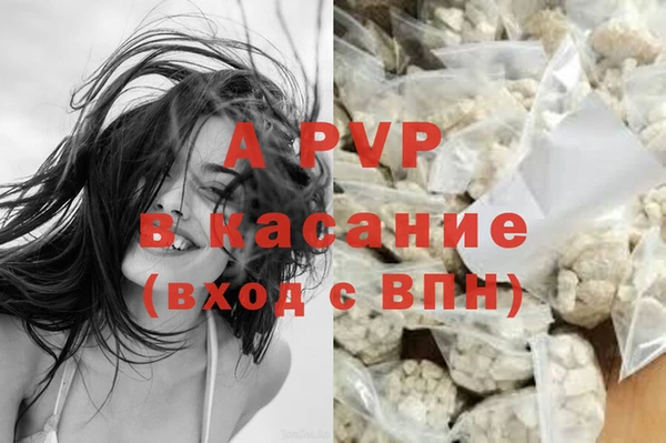 прущие крисы Балахна