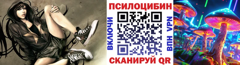 Галлюциногенные грибы Psilocybine cubensis  нарко площадка какой сайт  Сунжа  где найти  